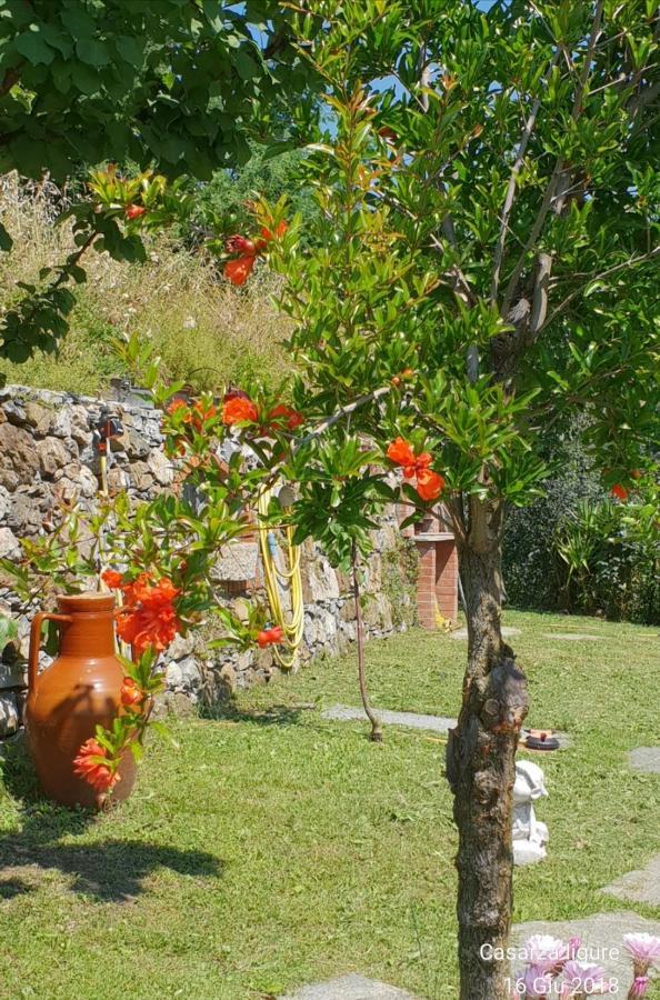 Ca' Olivella Villa Casarza Ligure Bagian luar foto